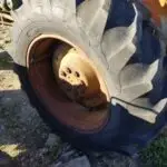 USED FORD 3000 REAR WHEEL
