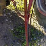 USED FORD 8N LOWER LIFT ARM
