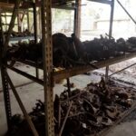 USED TACTOR AND BACKHOE GEARS SHAFTS AND FORKS